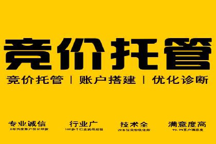 竞价广告的创意与执行：经典案例剖析